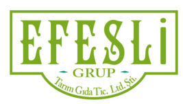 efesligrup.com